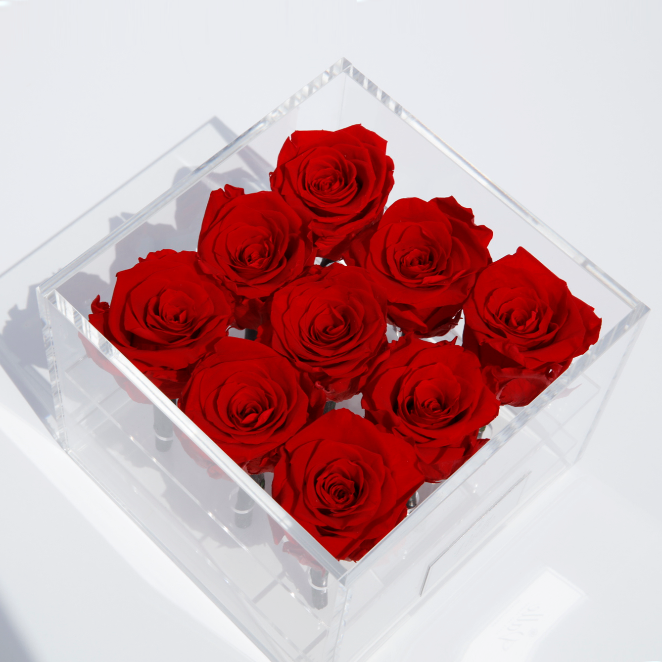 Acrylic Collection Nine Roses