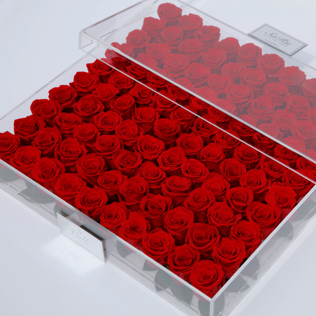 Acrylic Collection One Hundred Roses